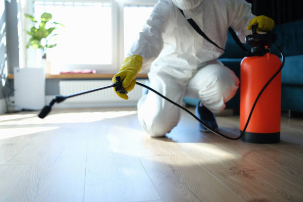 Reliable Odor Removal contractor in Preston, WA by Trauma Clean Pros